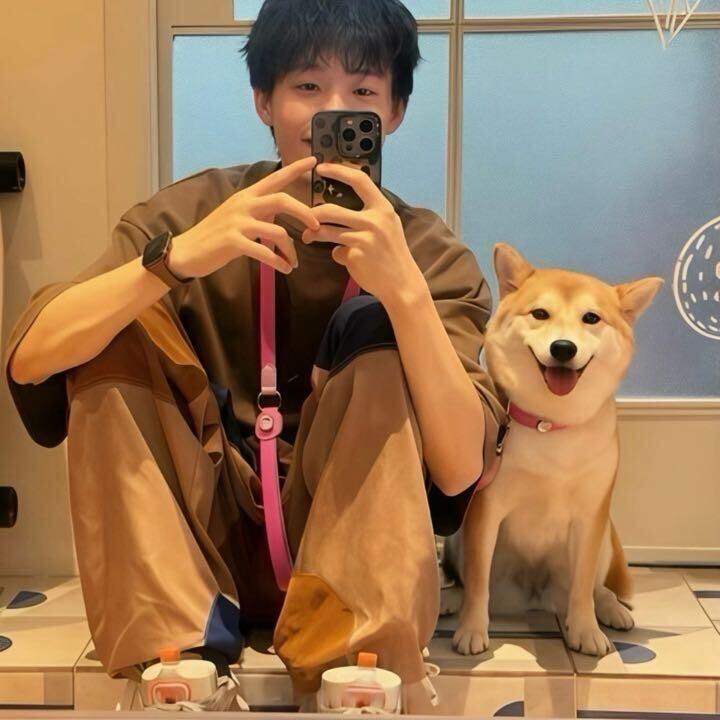 锦言欢笑