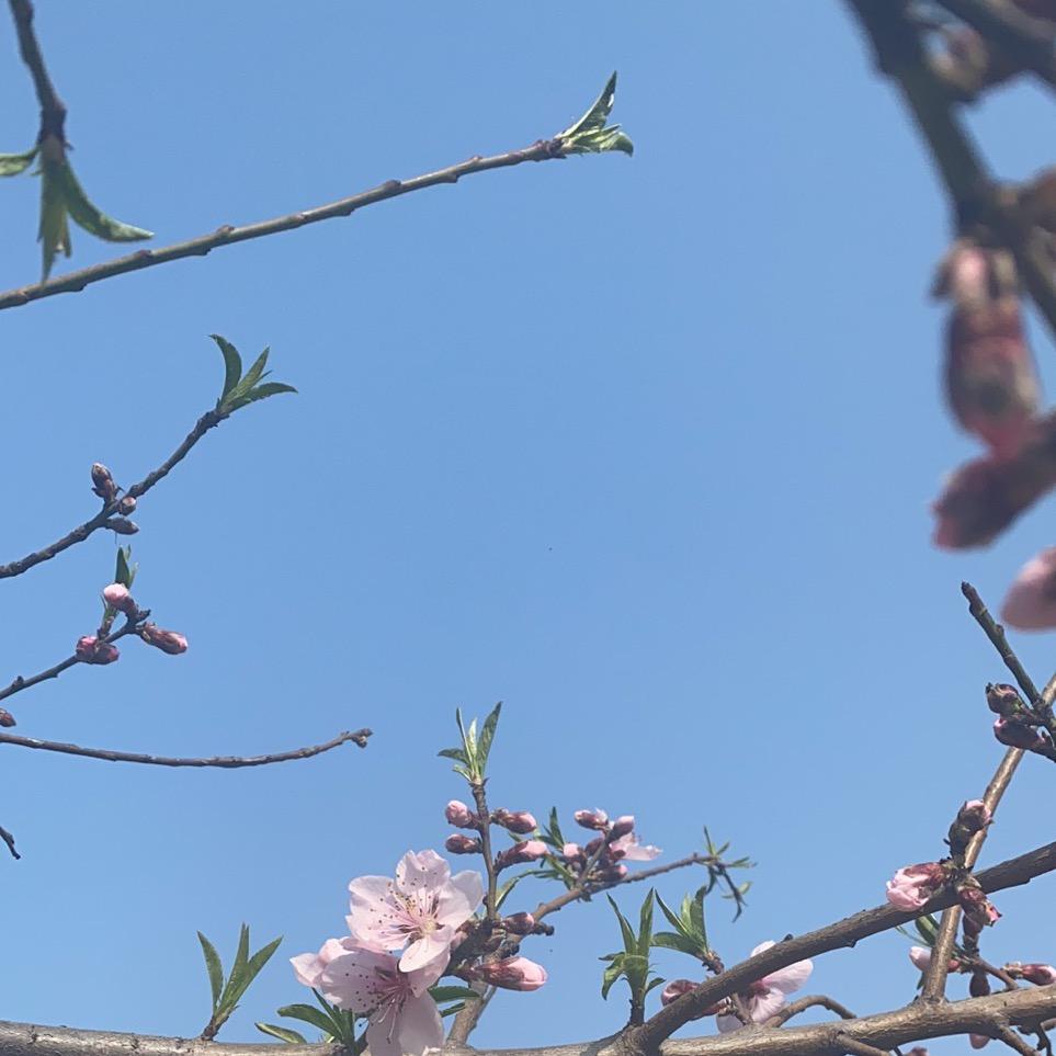 哎呦喂 吐槽吐槽现在