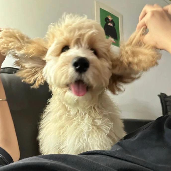 她