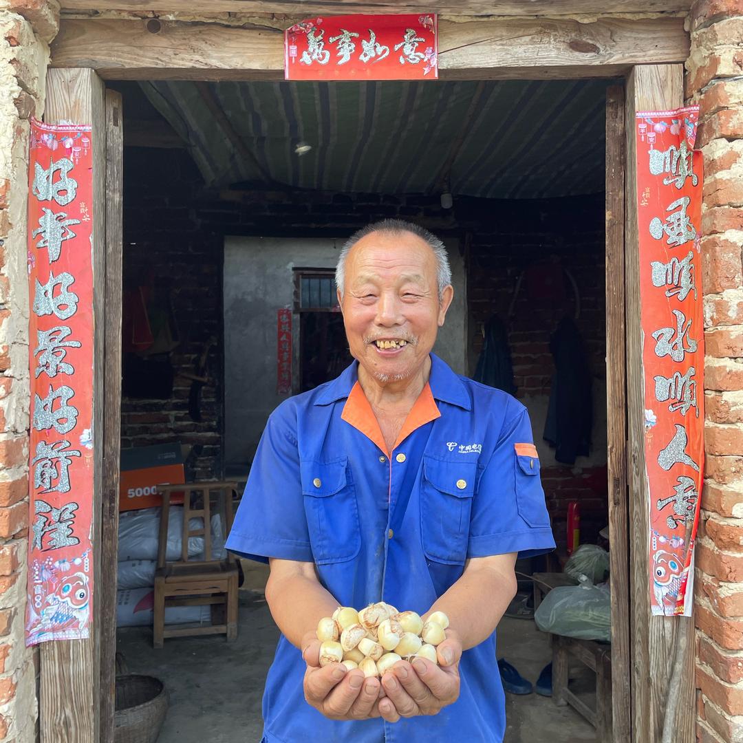 枣到福到