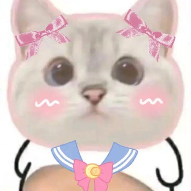 笑笑笑了吗🐱
