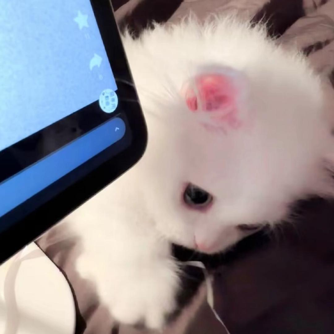 慢慢