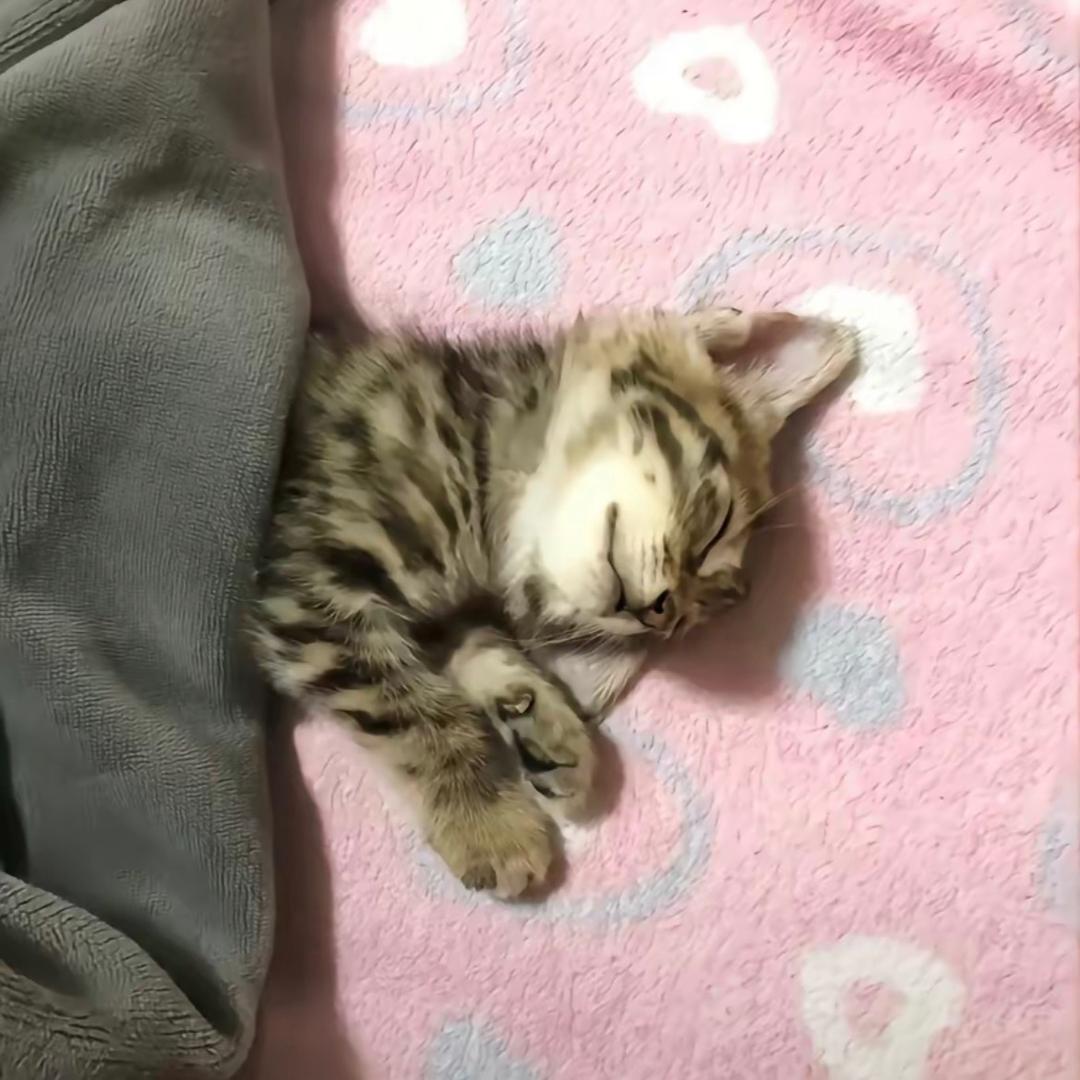 mi