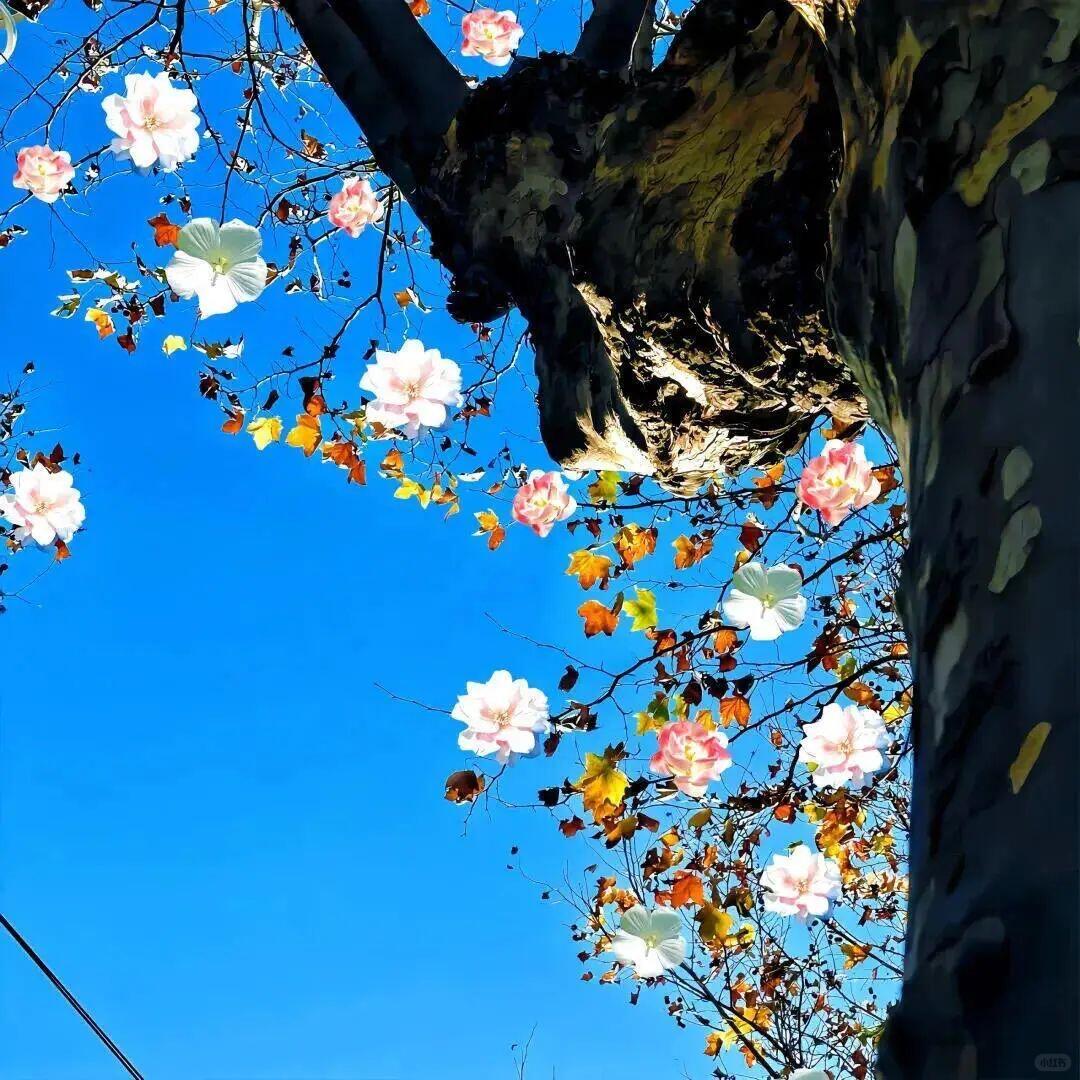 金挑细选（优品）