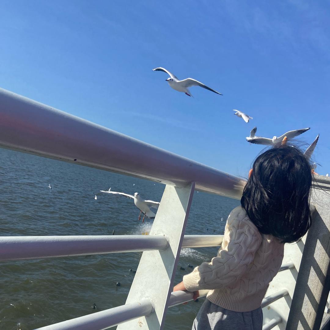 晚来、风急