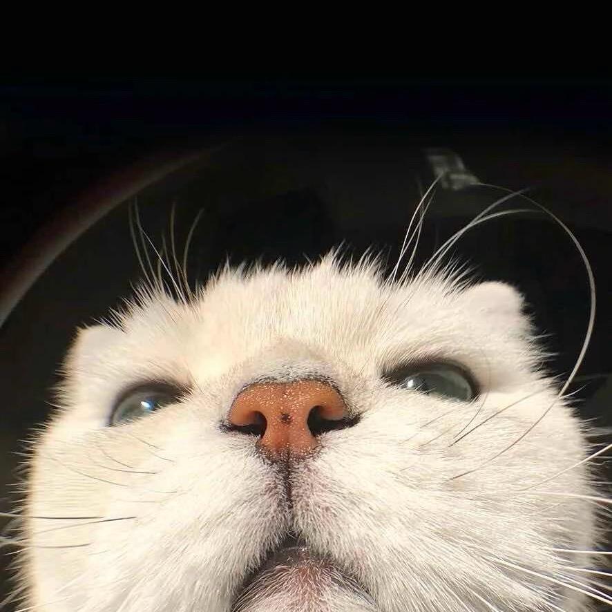 站在冰箱上的人