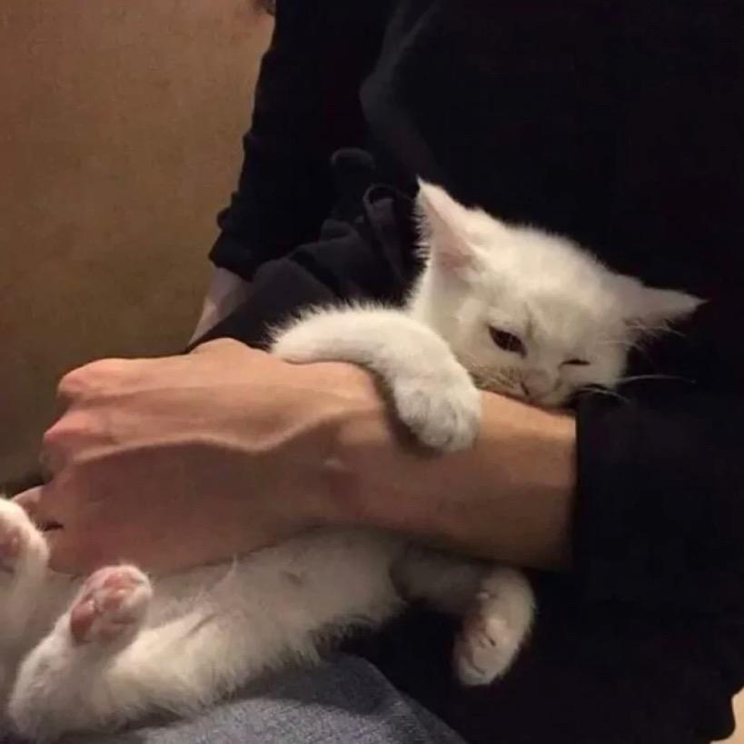 小罗睡不醒