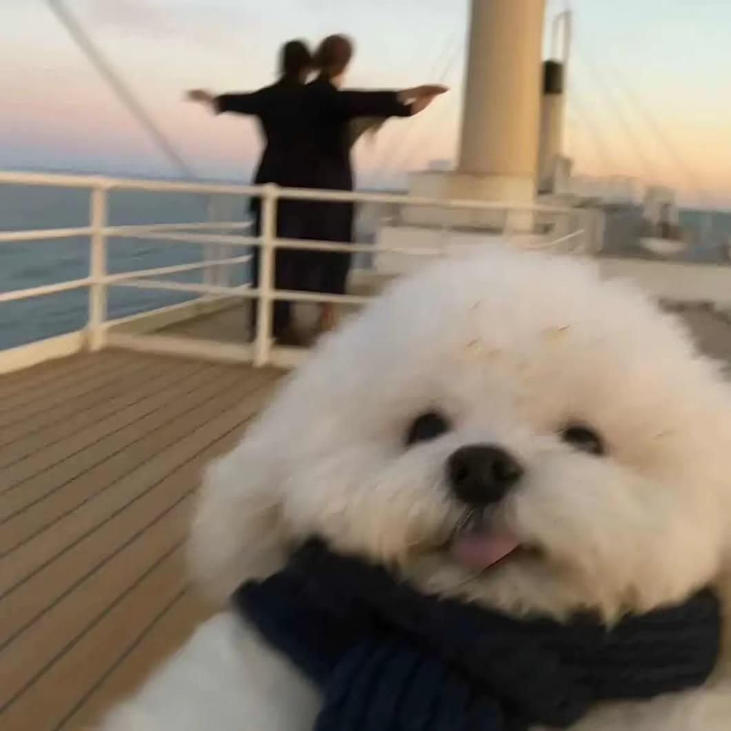 ￴ ￴图图每天cos女仆勾引壮壮妈