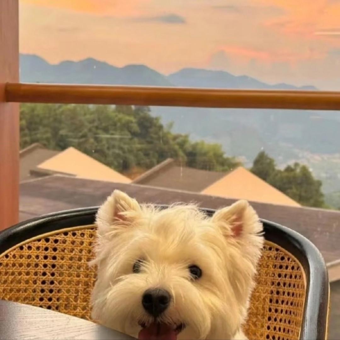 晴天ʕᵔᴥᵔʔ☀️