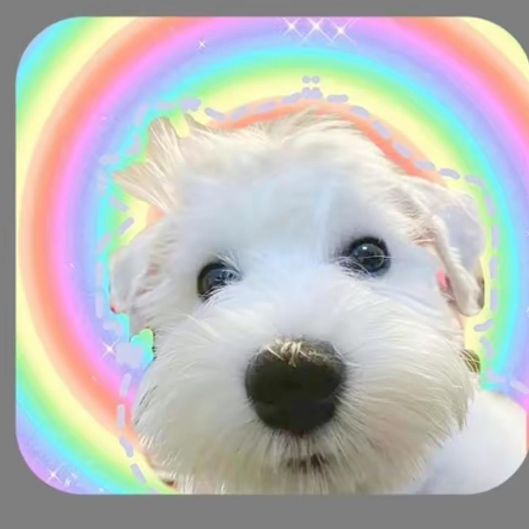 叁崚肆
