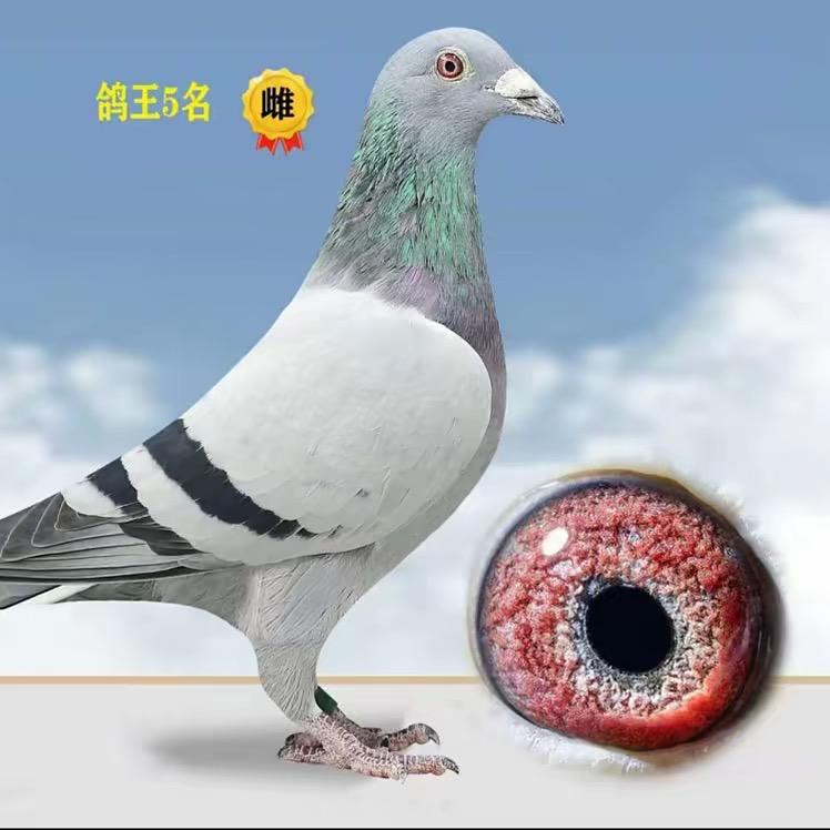 起来小怪兽