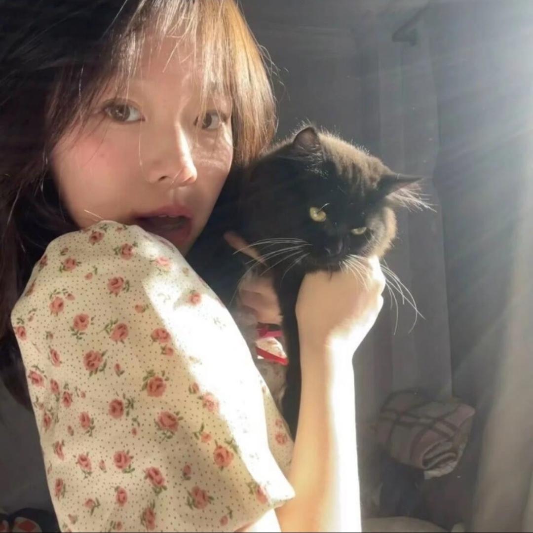 在曼谷的春.