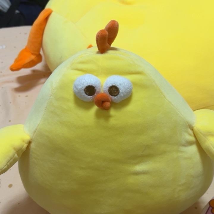 墩墩鸡的仆人