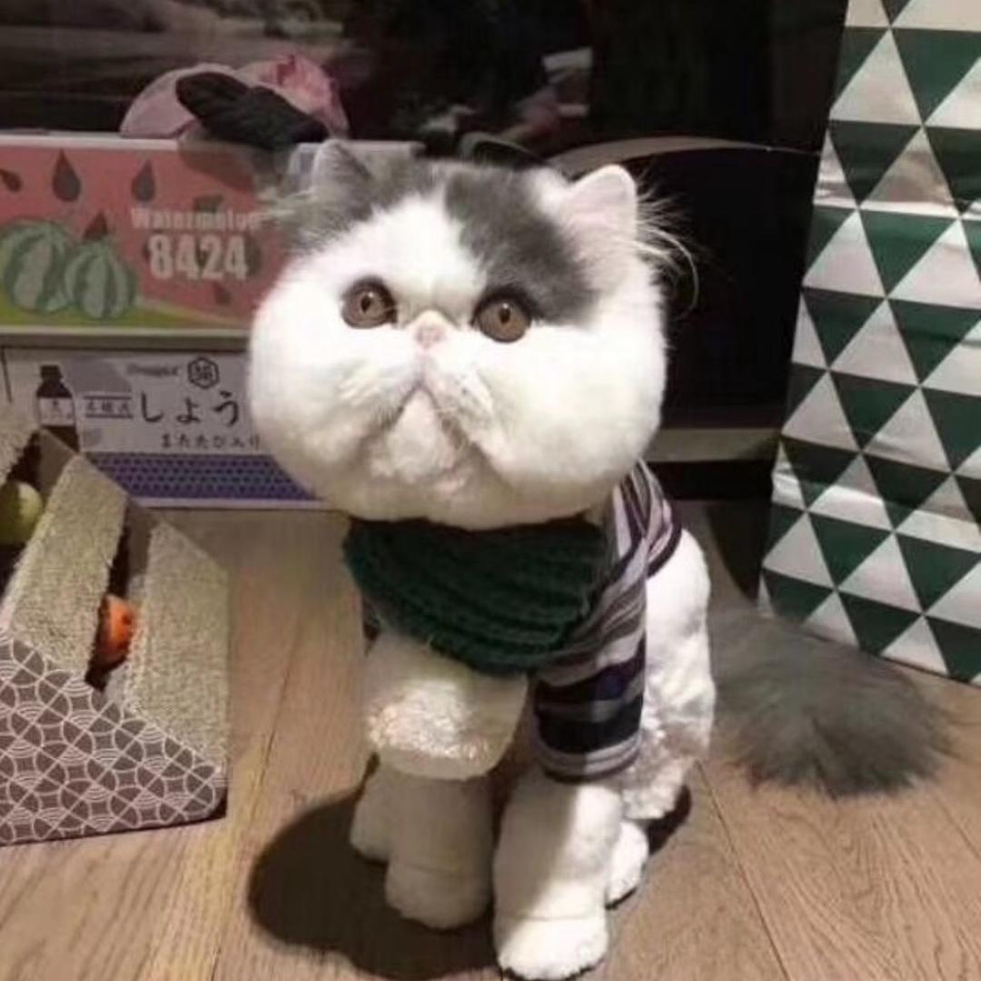 哈哈哈哈密瓜