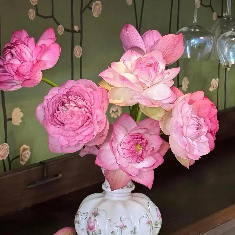 @石有鹿🦌🌸