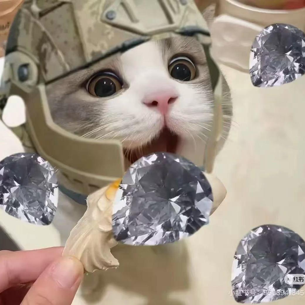 炮炮（三角洲行动）