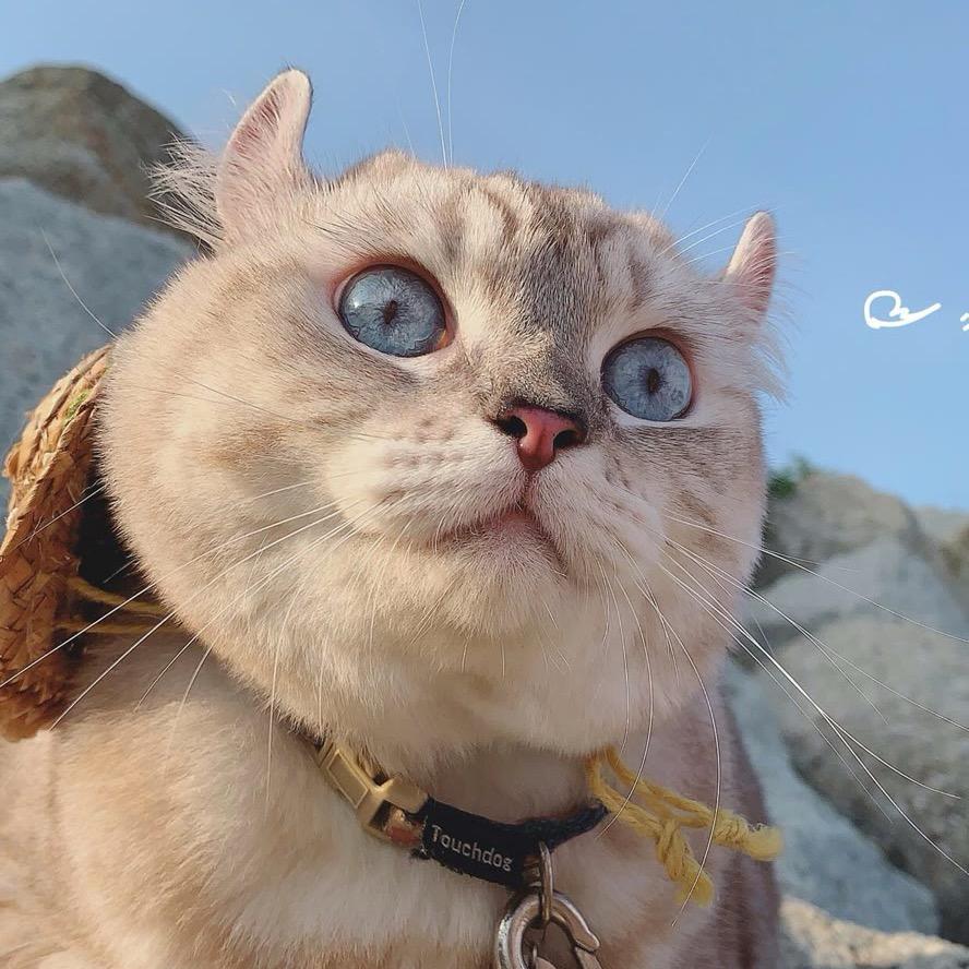 武汉光谷找房小能手