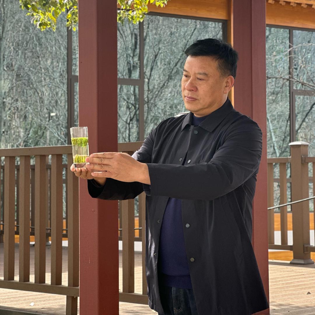 茶人张的茶