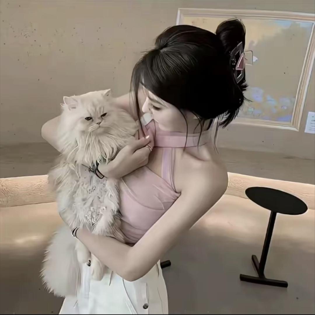 我知道了那你滚吧