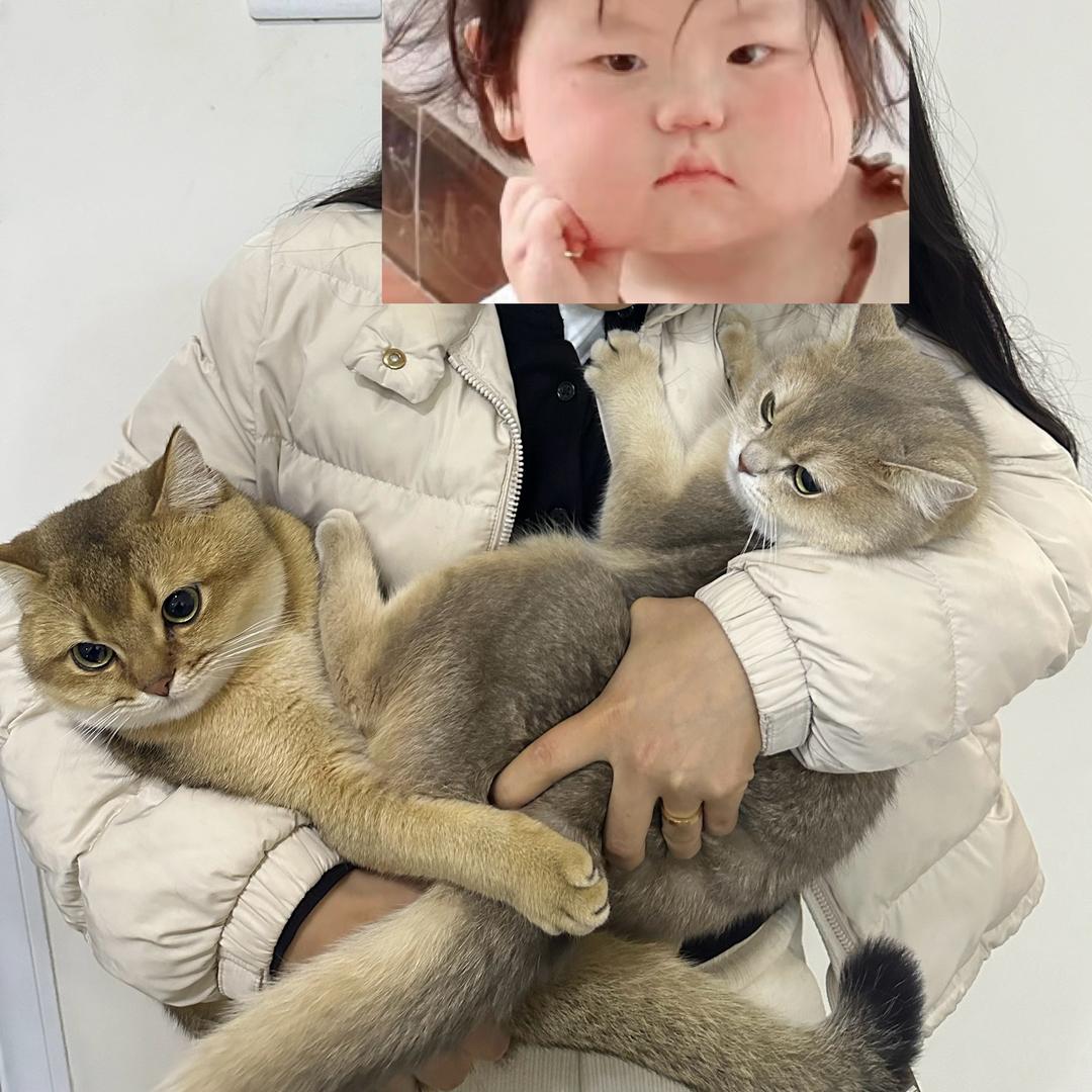 小琦琦就是小琦琦