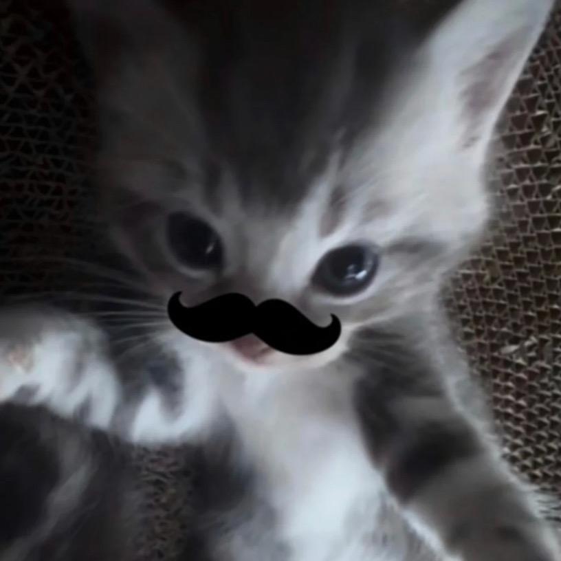 礼欢小豆（我想破1k