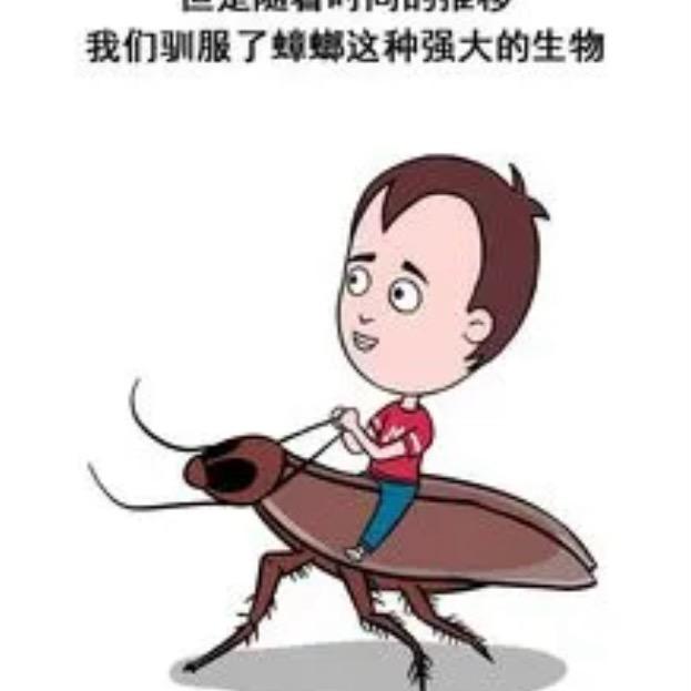 美洲大蠊养殖基地
