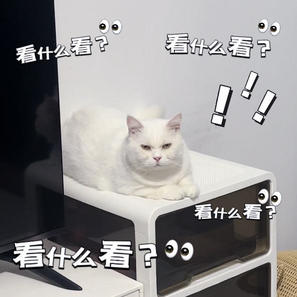 莱米的躺平日记