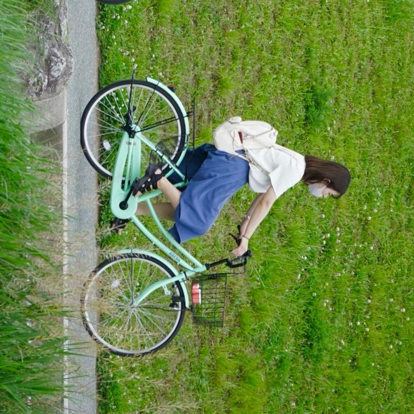 剁辣椒🌶️🥒🍆🍍🍊