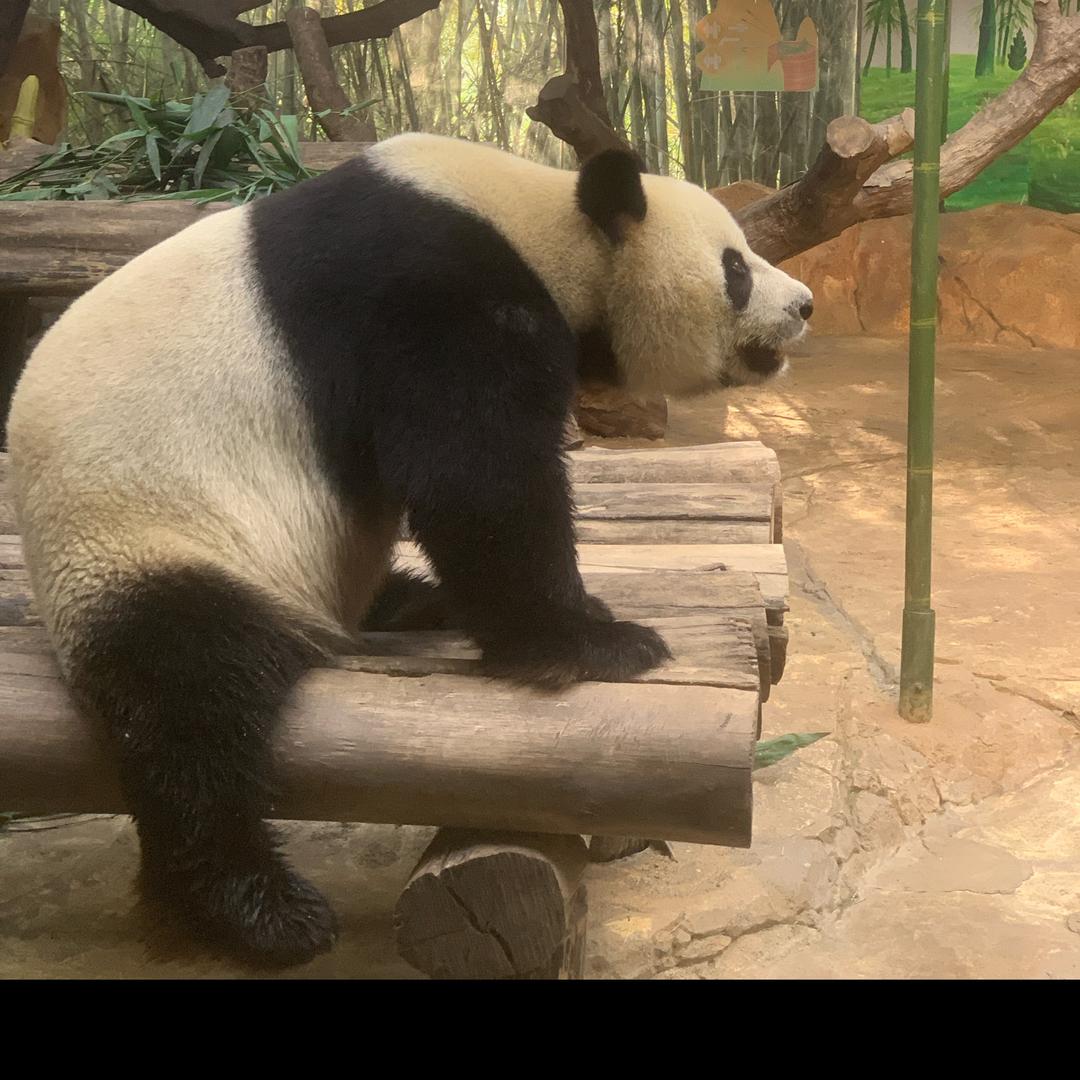 今天的贴贴