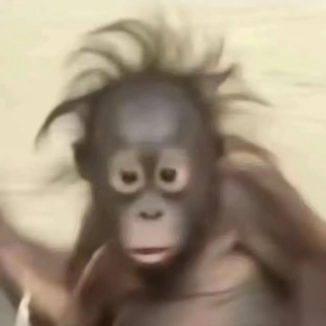 小羊爱睡觉