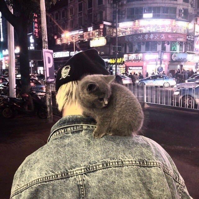 我爱老婆