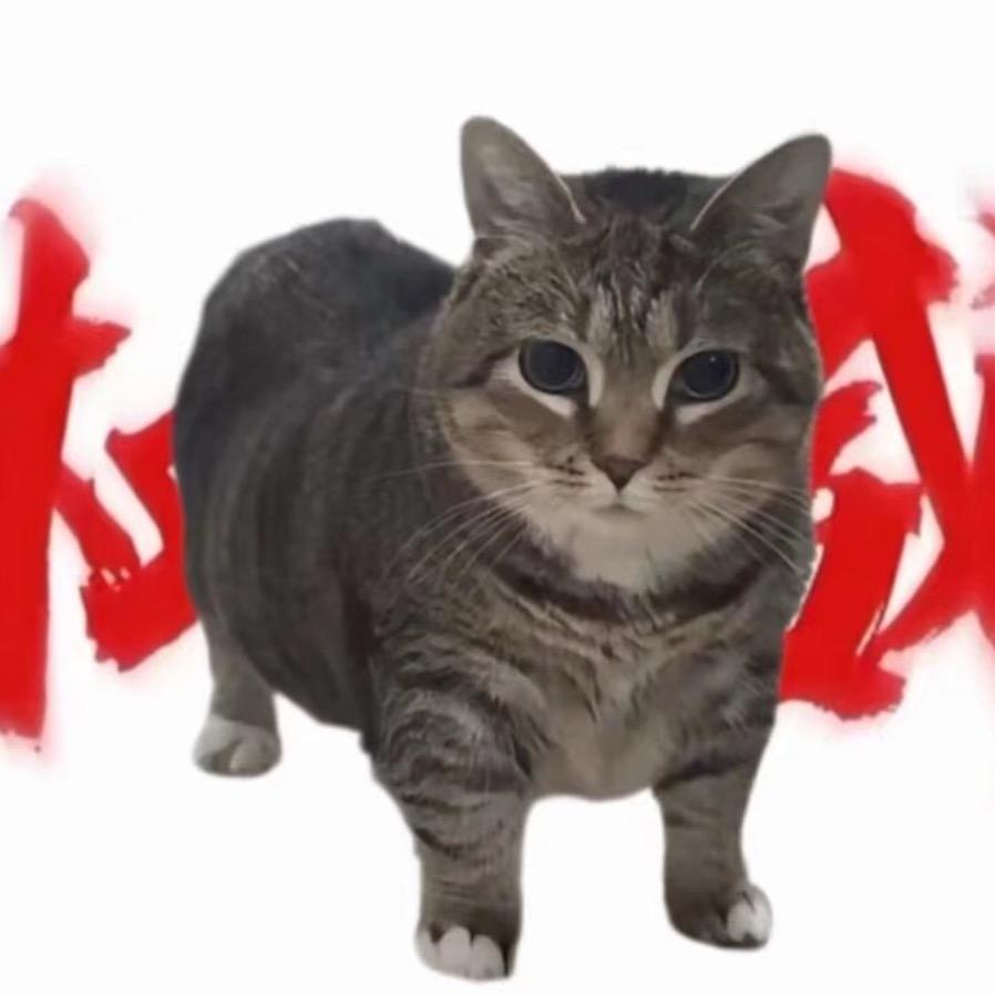 猫me me小剧场