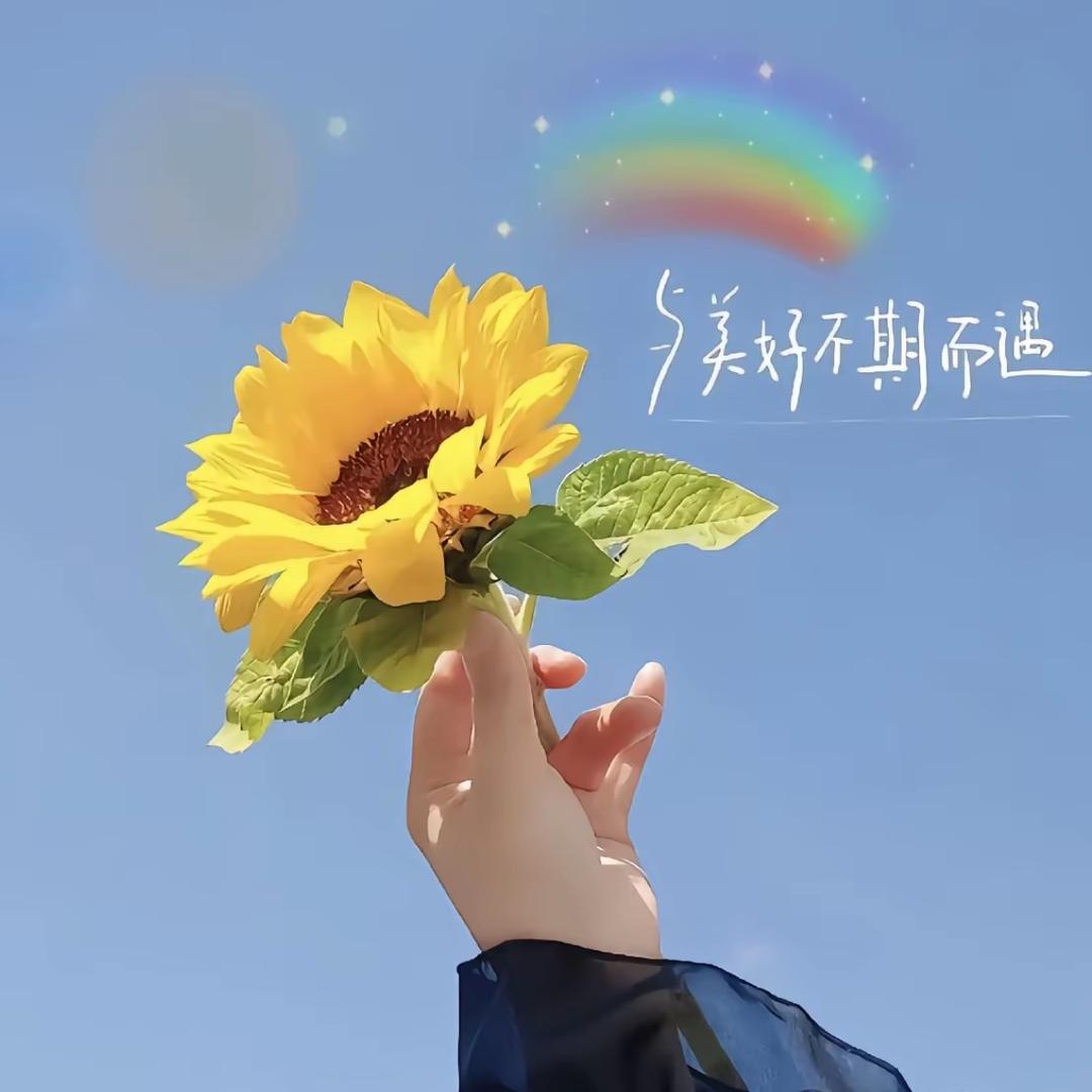云淡风轻🧍‍♀️