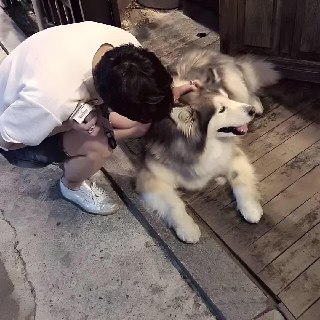 北京迈阿密