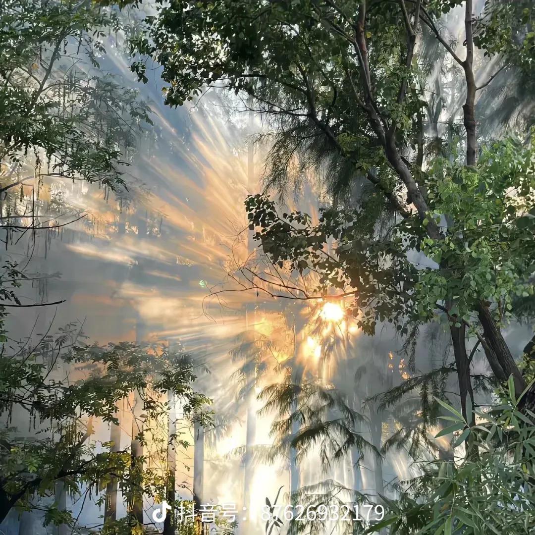 云南特产酒水超市