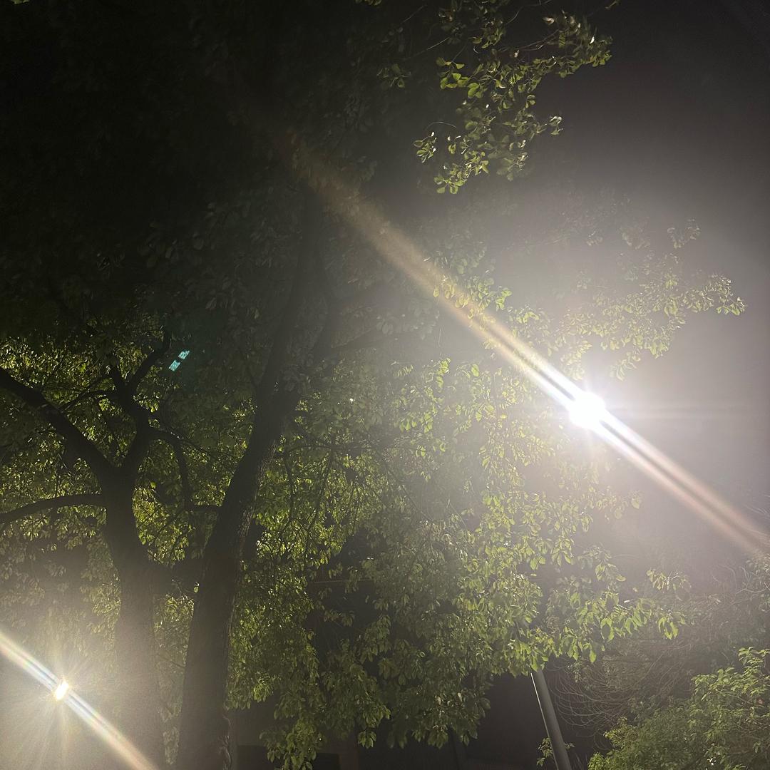 张德菊