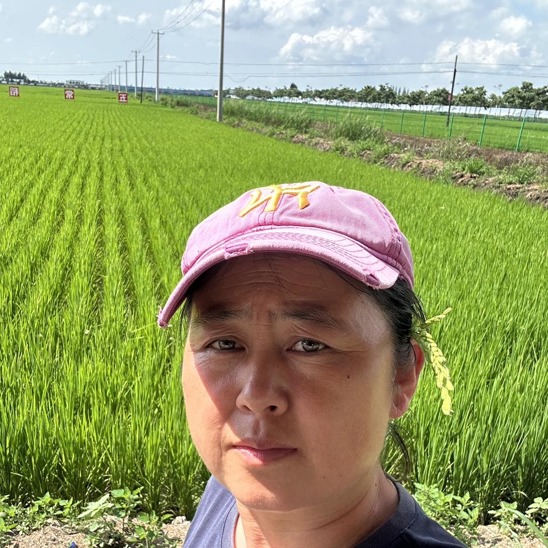 小赵五常大米