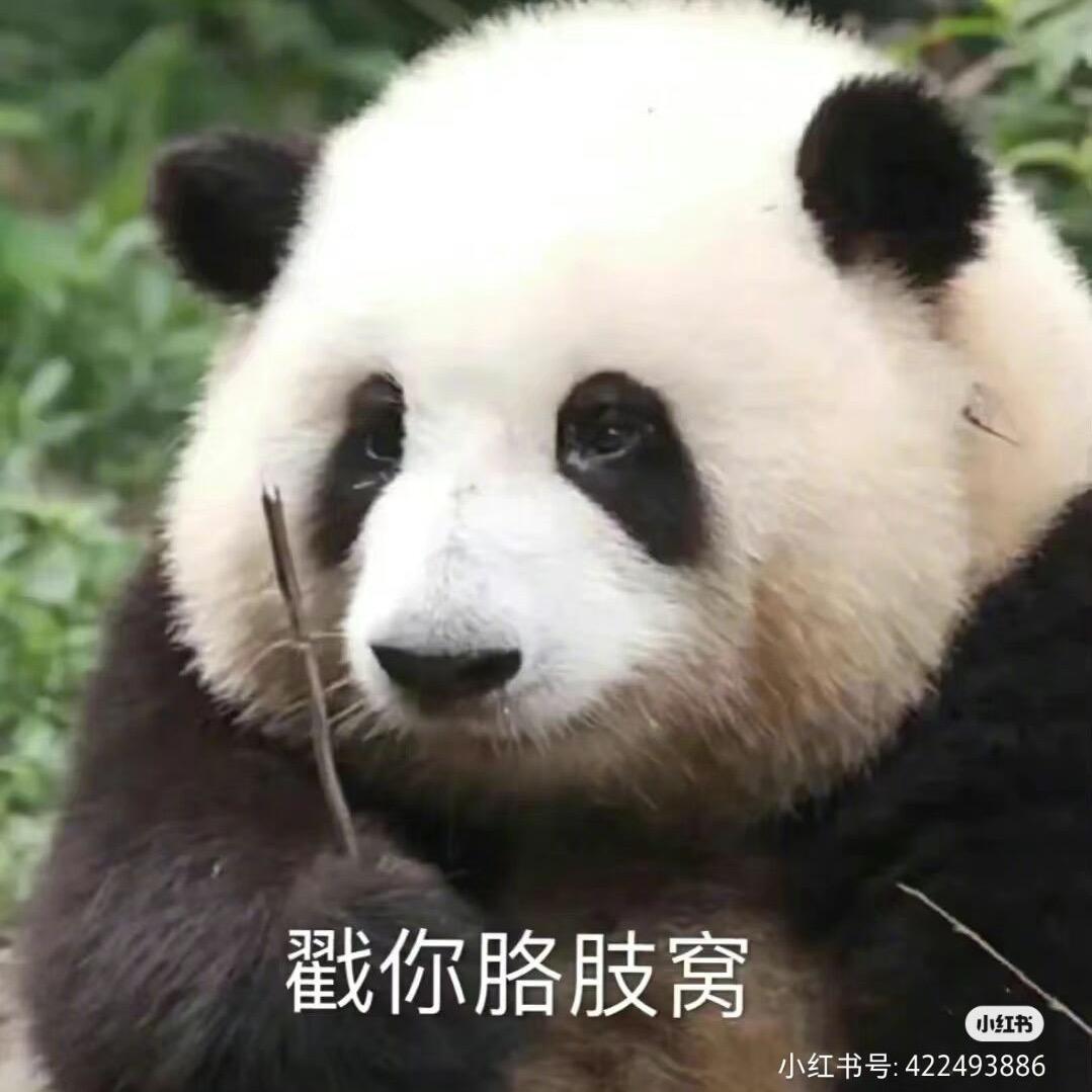 2024八方顺利发笔小财🌰