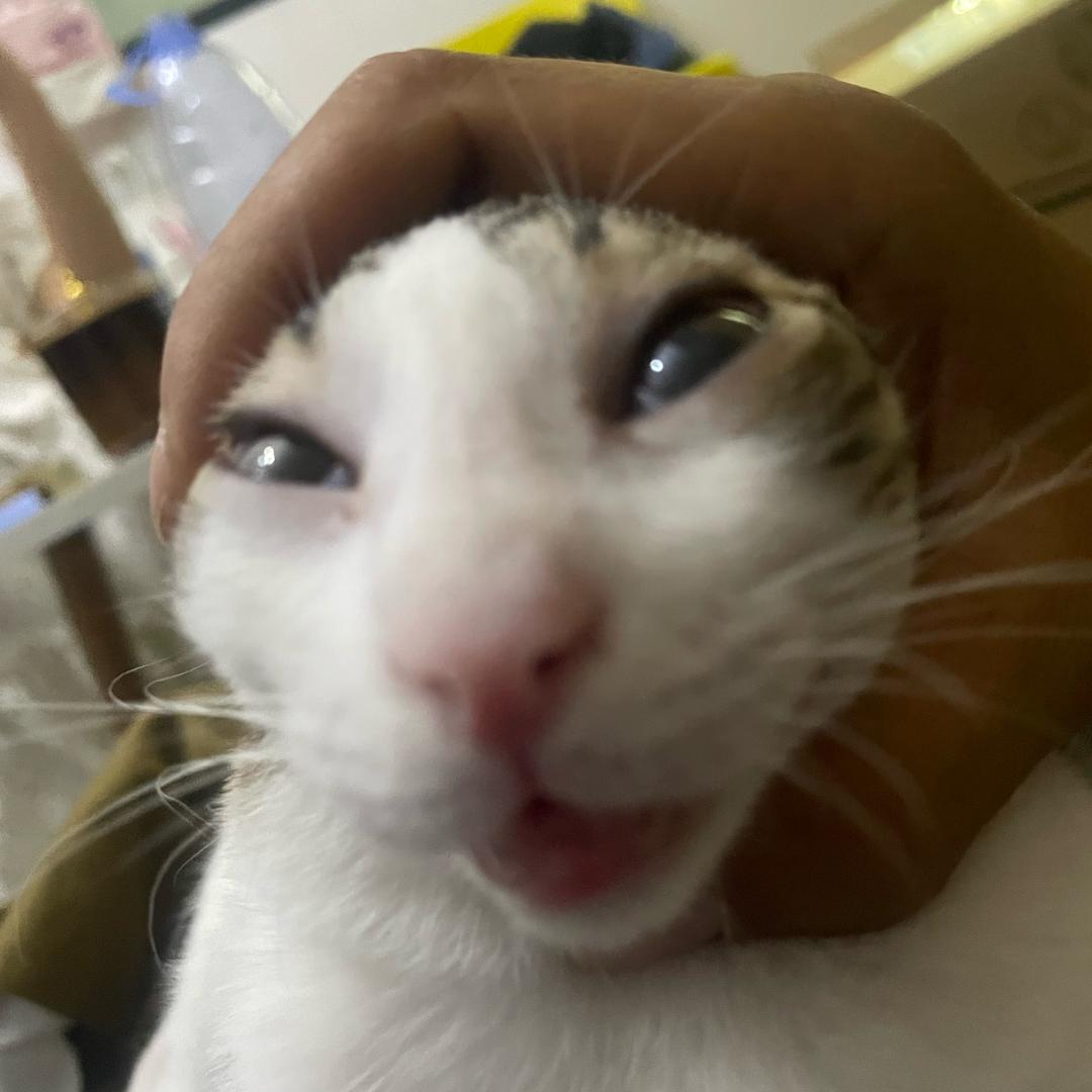 闪电拳头