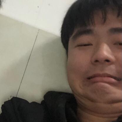 乌龟送