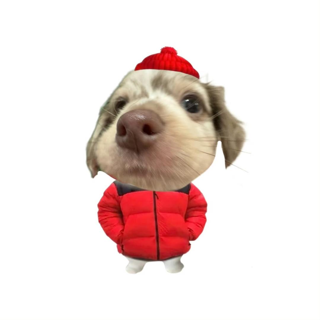 O古O