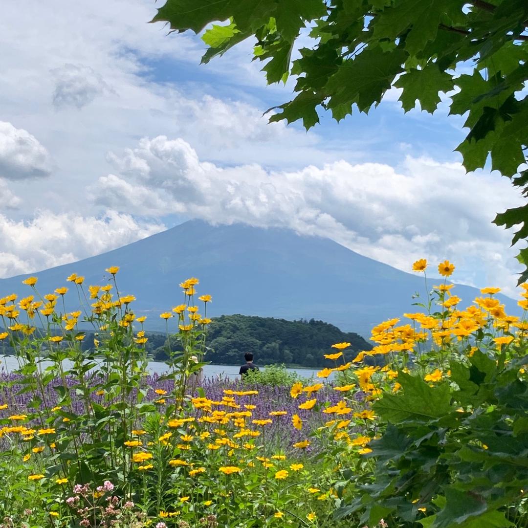 憩雁