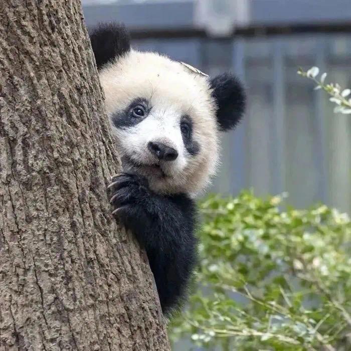 像春天💞