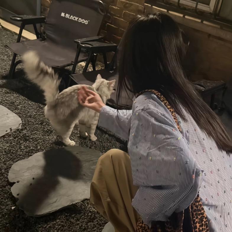 o泡大神（一直傻乐版）