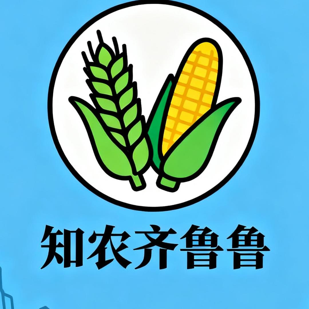 知农齐鲁鲁