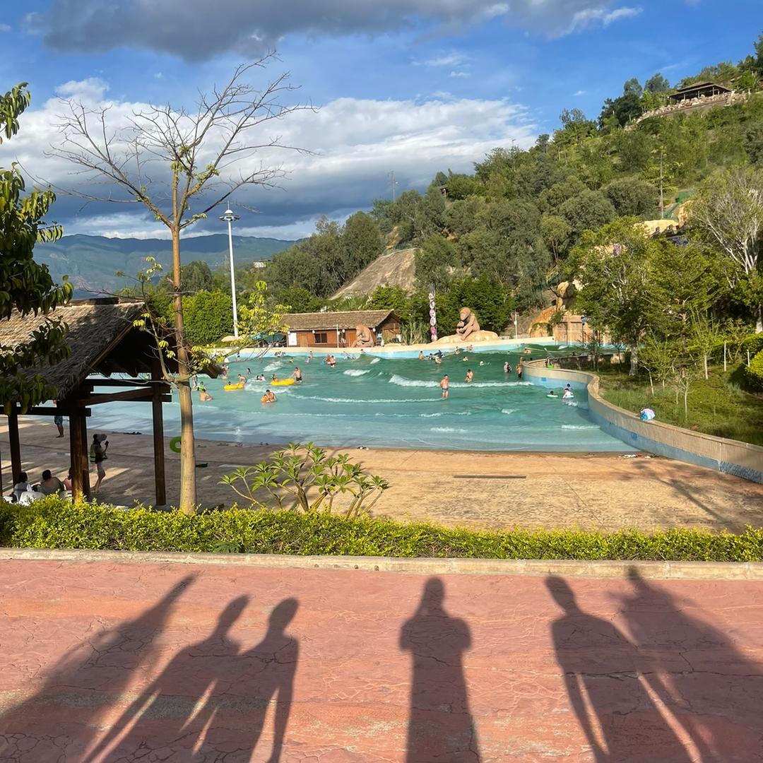 元谋蔬菜行情（代办）