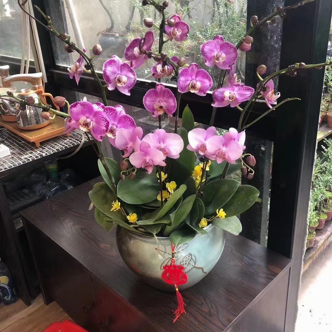 ꧁꫞꯭忧伤.•••旋律꫞꧂