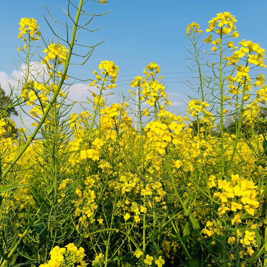 是莉也是丽😇😇😇🤗