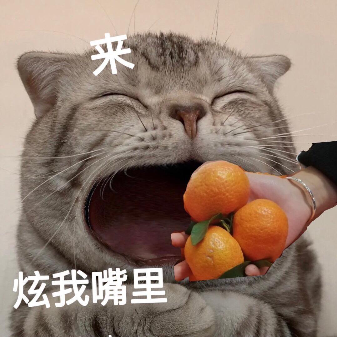 可靠的叫我龙🐉