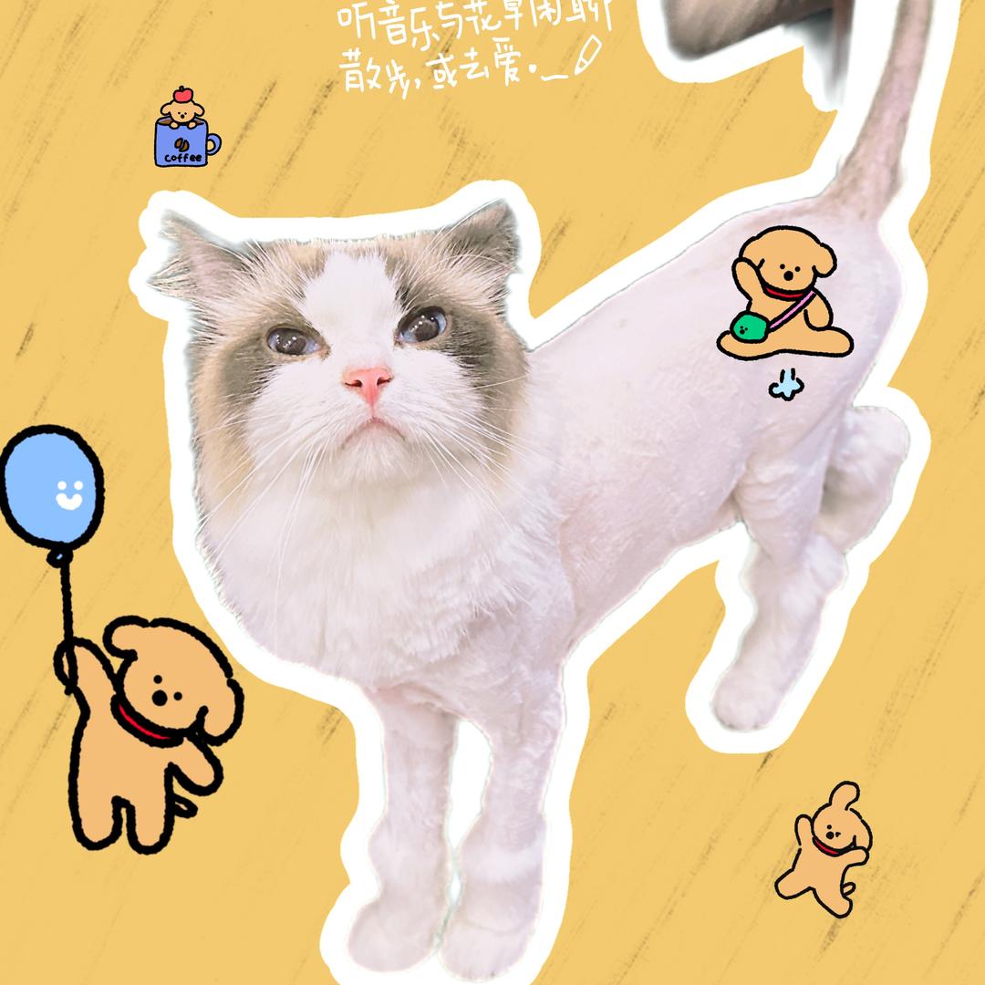 Suki